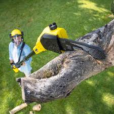Best Utility Line Clearance  in Dogtown, CA