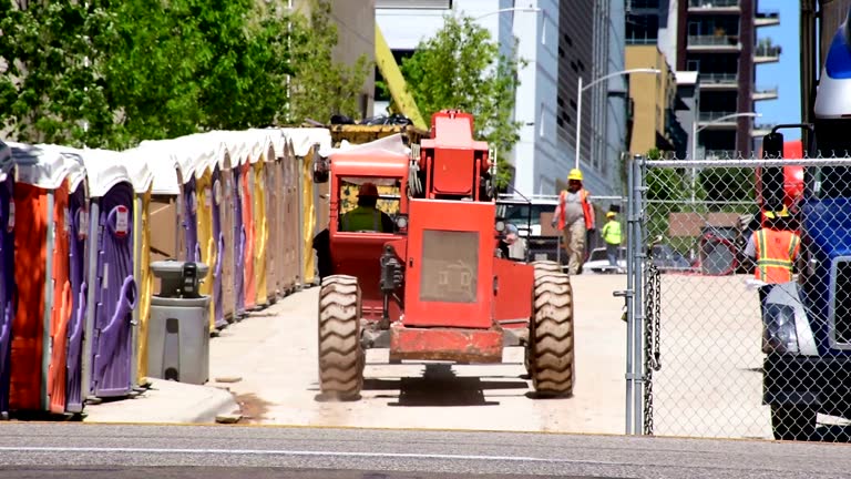 Best Root Management and Removal  in Dogtown, CA